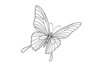 Poster - Butterfly line art drawing illustration in elegant style for artistic design