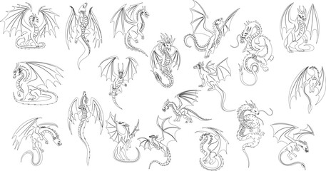 Wall Mural - dragons in different poses set, collection, outline sketch vector