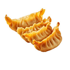 Canvas Print - Fried Pork Dumplings  falling   