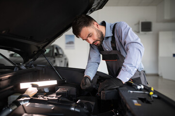 Leinwandbilder - Troubleshooting process. Auto mechanic working in garage. Repair service