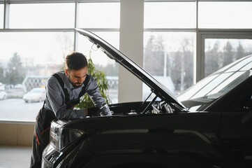 Leinwandbilder - Friendly mechanic in modern car repair shop with car. Professional technician checking vehicle diagnostics and maintenance. Concept of automotive industry and customer service