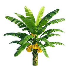 Wall Mural - Tropical banana tree