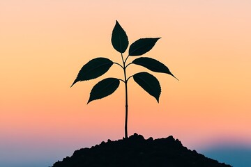 Close-Up of Tree Sapling on Colorful Background