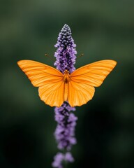 Aufkleber - Eco-Chic Visuals Vibrant Butterfly on Purple Blossoms for Transformative Marketing and Sustainable Brands - Natures Beauty in Visual Storytelling and Biophilic Aesthetics