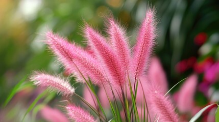 Delicate pink grass flowers in a lush garden setting ideal for romantic wallpaper backgrounds and nature-inspired decor.