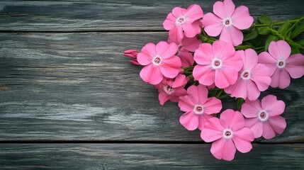 Poster - Pink phlox flowers beautifully arranged on a rustic wooden background showcasing vibrant colors and natural textures for floral design concepts.