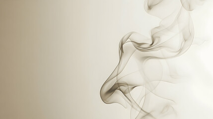 Wall Mural - mist forming elegant shapes against a solid light ivory background, brightly lit for maximum visibil