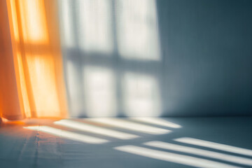 Wall Mural - window shadow overlay