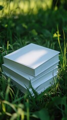 Poster - Stack of Blank Books on Grass Capturing Serenity of Outdoor Reading Scene : Generative AI