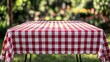 © O - Red and white checkered tablecloth on outdoor table in sunny garden setting