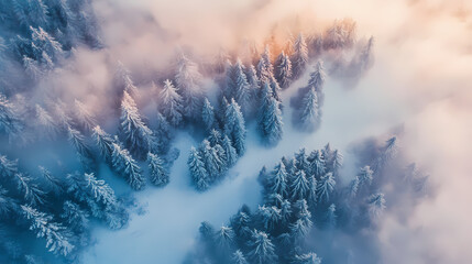 Wall Mural - Watercolor landscape of foggy forest in mountain slope aerial view. Frozen Forest. Illustration