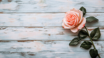 Poster - Delicate pink rose lying on a vintage wooden background, perfect for Valentine's Day projects or romantic occasions