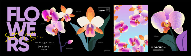 Wall Mural - Orchid Flower Vector Art. Collection of vector illustrations featuring orchid flowers in various styles. Modern, elegant designs for poster, card and background