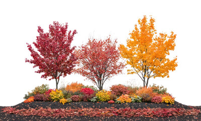 Wall Mural - png autumn foliage garden autumn trees outdoors.