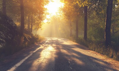 Wall Mural - Sunrise road, forest path, misty morning, scenic drive, nature background