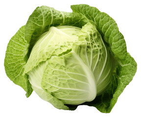 Poster - PNG Vegetable cabbage plant food.