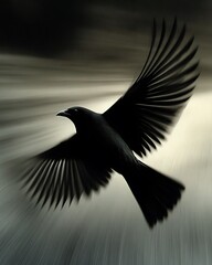 Wall Mural - Black bird in motion, wings spread wide, dark background.