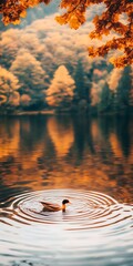 Poster - Duck swimming in calm autumn lake water, surrounded by colorful trees.