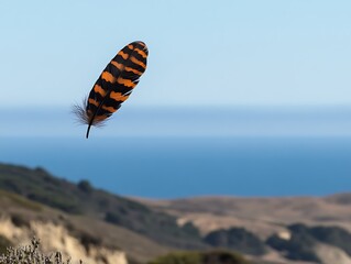 Wall Mural - Single orange and black striped feather floats above coastal hills and ocean.