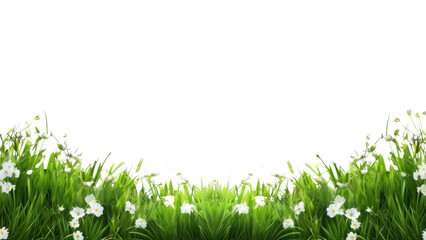 Wall Mural - PNG Grass backgrounds grassland outdoors.