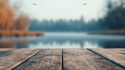 Poster - Wooden table overlooking peaceful pond with dragonflies flying in misty light