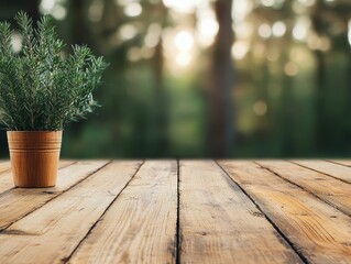Poster - Wooden table with rosemary plant, showcasing morning forest backdrop