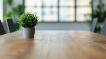 Poster - Small plant standing on large wooden table in modern office boardroom
