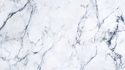 Poster - Elegant white marble background texture with intricate grey veining for interior design and architectural applications