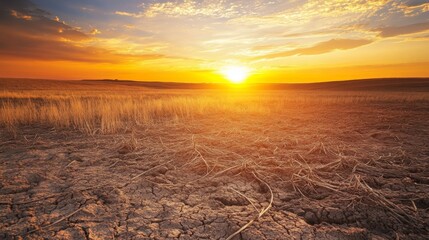 Poster - A vast expanse of scorched, brown grass under an intense, cloudless sky, symbolizing drought and the impact of global warming on agricultural lands