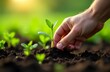 © Maria - close-up of a hand planting seeds in a garden bed