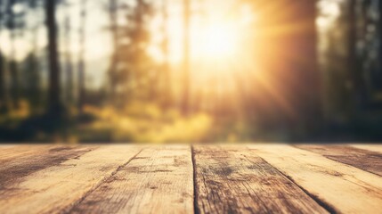 Wall Mural - An empty wooden table stands in a tranquil forest, illuminated by soft sunlight that filters through the trees during late afternoon