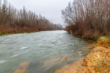 Wall Mural - Flooding of the Bernesga River during winter, riverside vegetation, clay soil shore and grey sky, León, Spain.