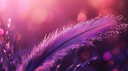 Sticker - Pink Feather With Dew Drops