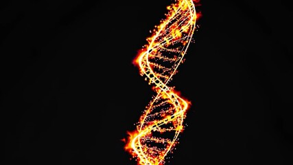 Poster - exploring the intricate beauty of glowing dna strands in a dark background during a science presenta