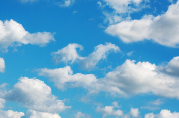 Wall Mural - white cloud in the blue sky