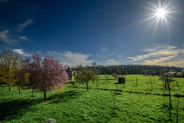 scenic view of a lush green field with blooming trees and a bright sun in the sky in france