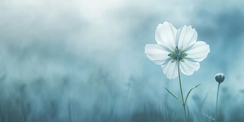 Sticker - Serene misty background with a central white cosmos flower surrounded by soft green hues and ethereal blue tones in a tranquil setting