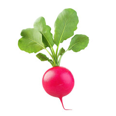 Wall Mural - Fresh Red Radish Vibrant Green Leaves Healthy Vegetable