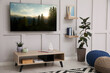 © New Africa - TV set with nature landscape on screen in room