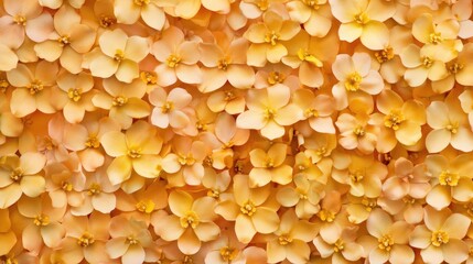 Poster - Seamless floral wallpaper texture with vibrant yellow and peach blooming flowers ideal for interior design and decoration projects