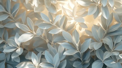 Poster - Ethereal close-up of soft textured leaves from a succulent shrub illuminated by gentle light creating a serene botanical atmosphere