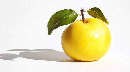 Aufkleber - Yellow quince fruit with leaves isolated on a light background showcasing its vibrant color and natural beauty.