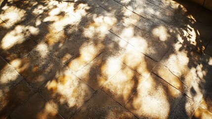Poster - Tranquil earthen floor with warm golden sunlight casting intricate shadows in natural outdoor setting, ideal for serene background photography.