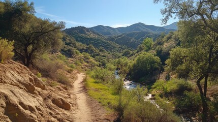 Poster - Rustic outdoor landscape with a scenic trail and flowing stream surrounded by lush greenery and mountains under a clear blue sky