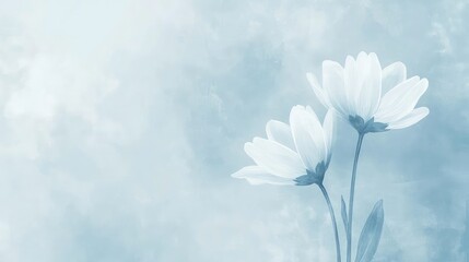 Aufkleber - Soft sky blue vertical poster design featuring delicate white daisies elegantly positioned in the corner, minimalist floral aesthetic with high-quality details.