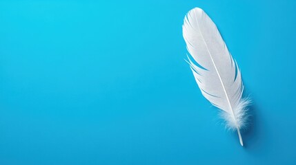 Aufkleber - Single White Feather on Vibrant Blue Surface Representing Purity Serenity and Lightness in Nature