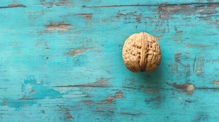 Poster - Walnut on rustic turquoise wood background showcasing natural texture and color contrast
