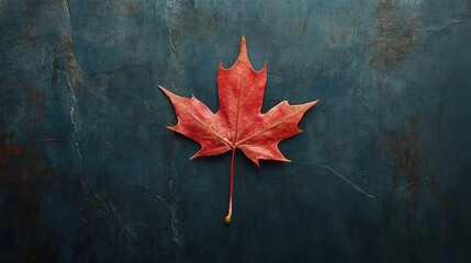 Poster - vibrant red maple leaf on textured dark blue background natural seasonal beauty concept