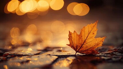 Aufkleber - Autumn leaf with bokeh lights in the background creating a tranquil wellness atmosphere for lifestyle content and relaxation themes