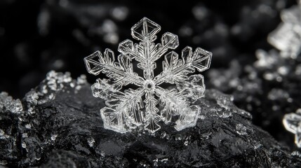 Poster - Macro closeup of a single delicate snowflake on dark textured background highlighting intricate snow crystal patterns in winter setting